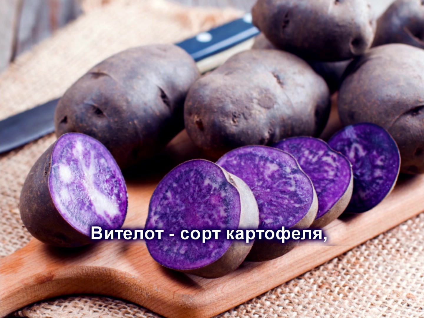 Какой сорт картофеля для пюре. Сорт картофеля Виталот. Картофель сорт Майами. Вителот фиолетовый картофель. Картофель Purple Peruvian.