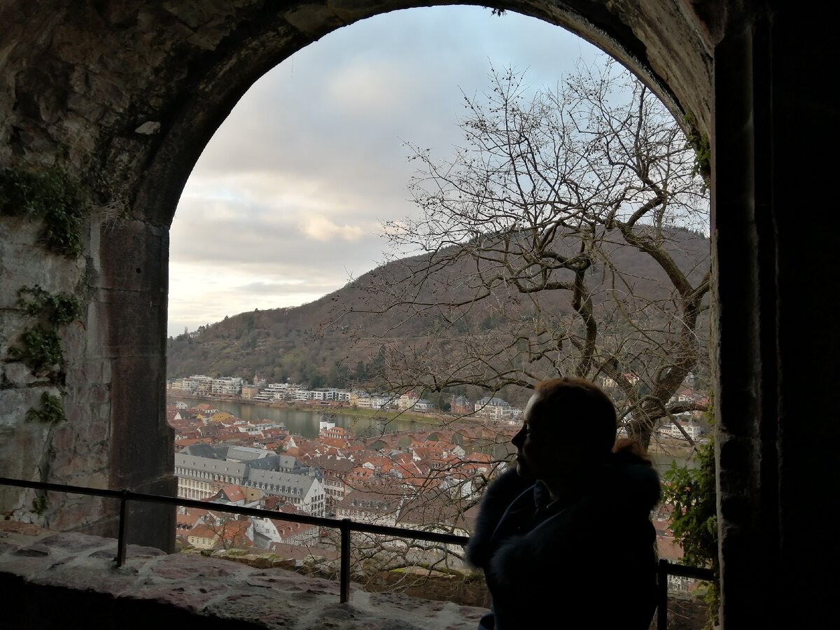 Хайделберг. Вид из замка.