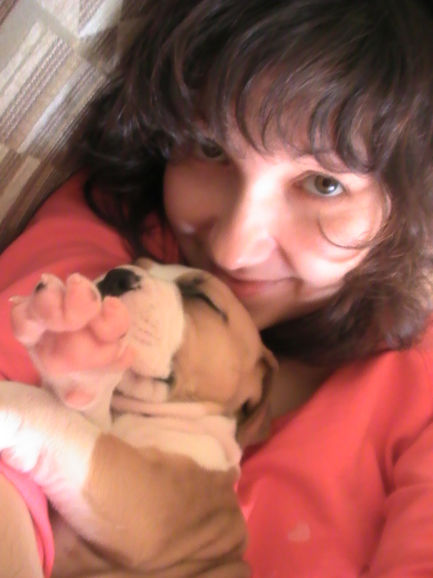 Щенячьи нежности