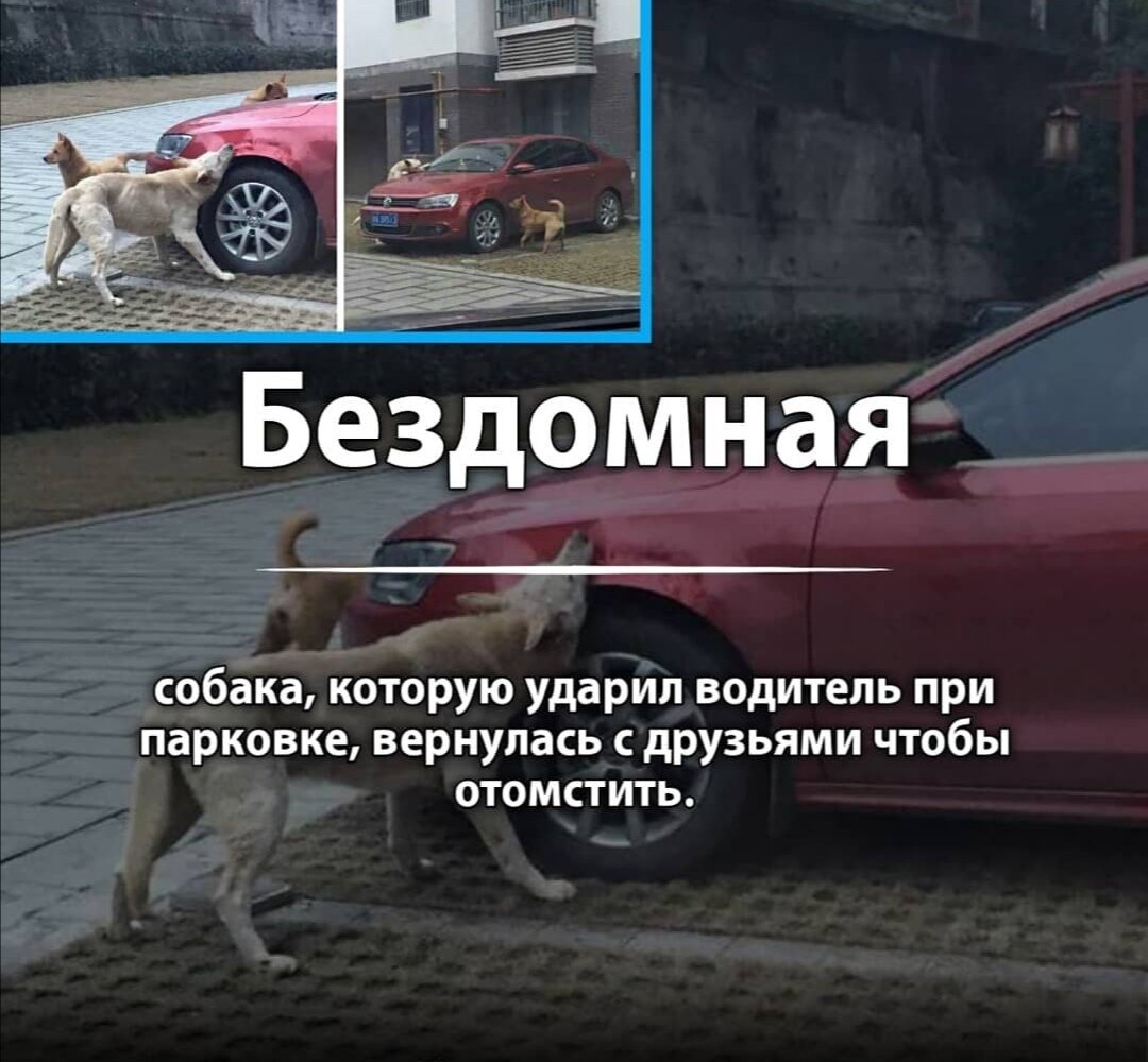 Фотография соседа водителя.