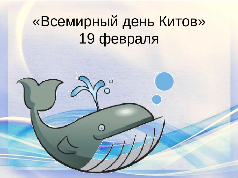 Всемирный день защиты морских млекопитающих