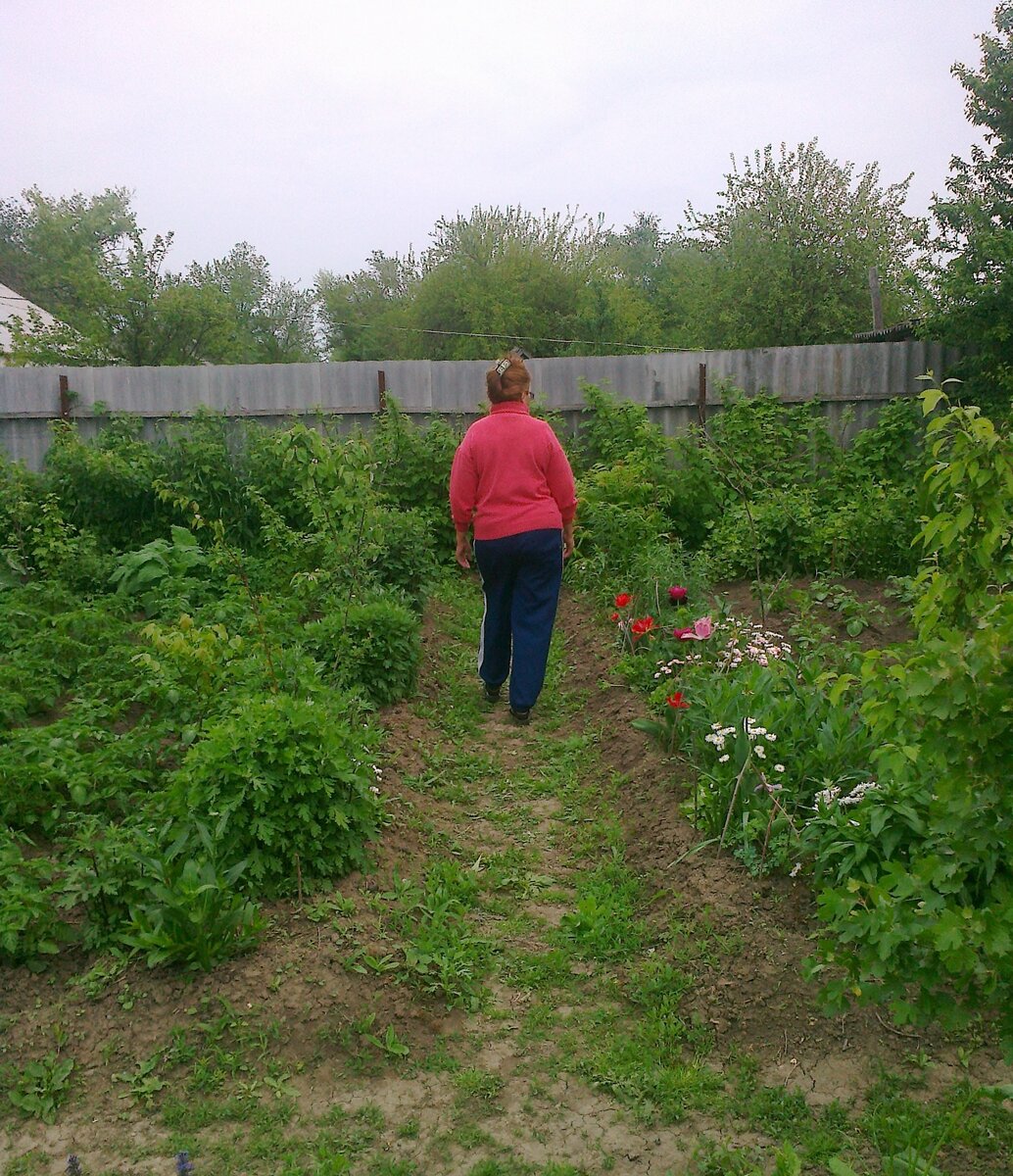Вот так выглядел наш приусадебный участок ранней весной через два года после нашей покупки