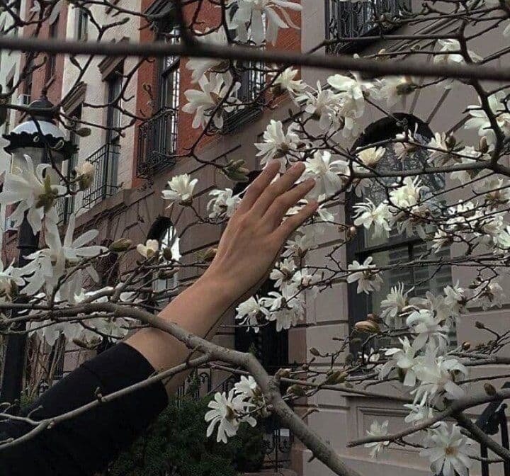 Все очень просто