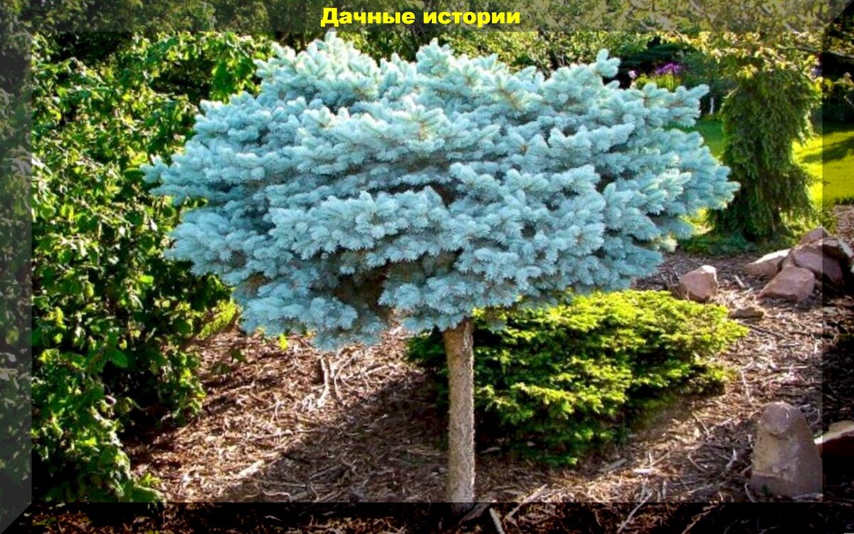 https://vk.com/photo-159774511_457249311