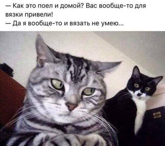 Картинка из интернета