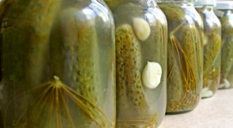 Бочковые соленые огурцы в банках холодным способом рецепт с фото пошагово