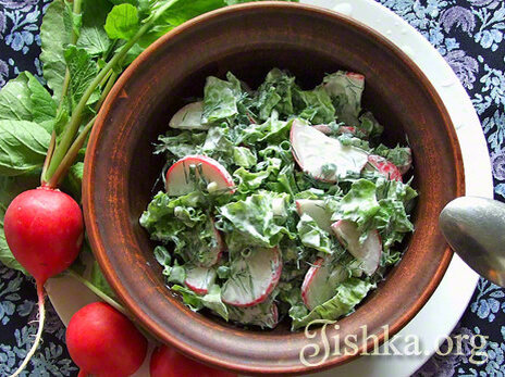 Редис появляется раньше всех других корнеплодов, знаменует приход весны в наше кулинарное меню и быстро отходит, уступая место молодой капусте и первым грунтовым огурчикам. Наверное, именно поэтому салаты с редиской по-настоящему самые весенние. 