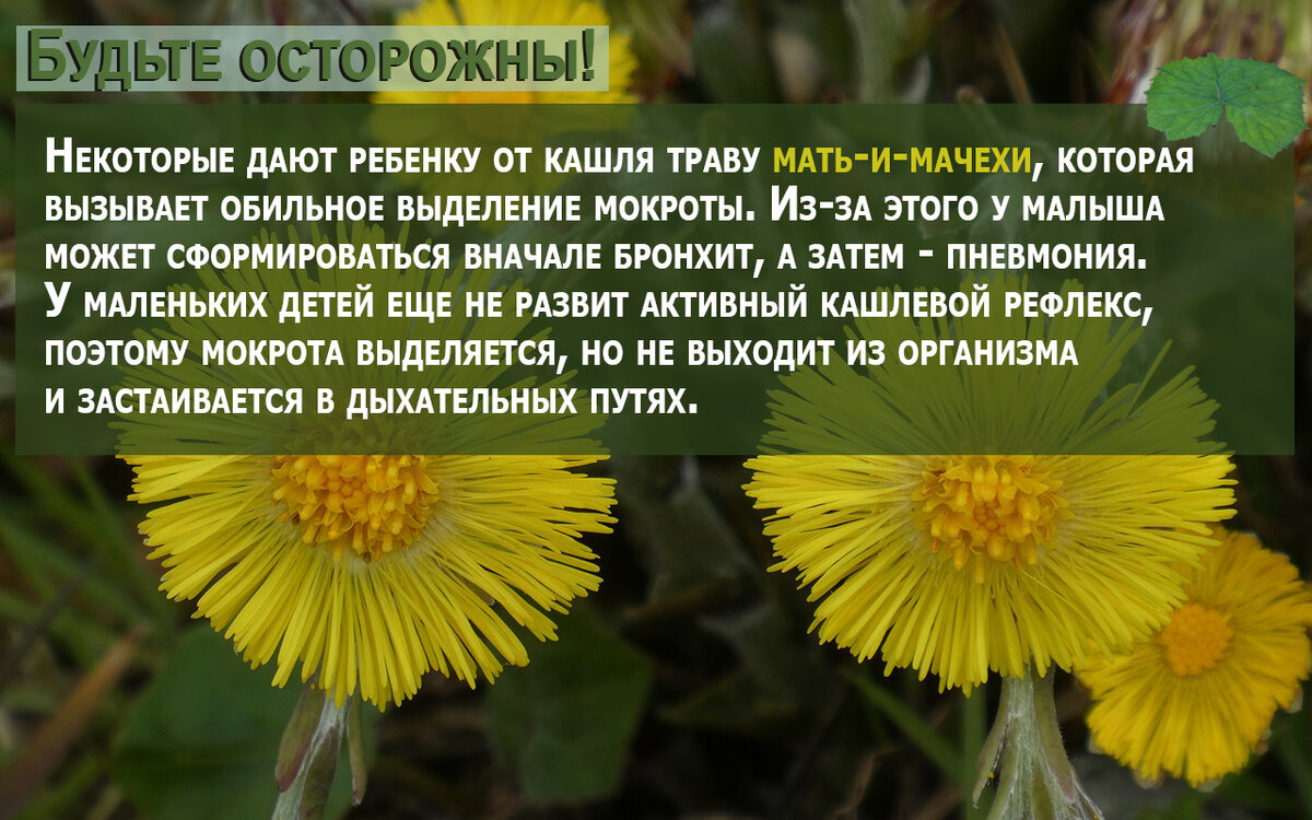 Как правильно лечить кашель у ребенка - советы педиатра | БТ| Беларусь 1:  новости и эксклюзив | Дзен