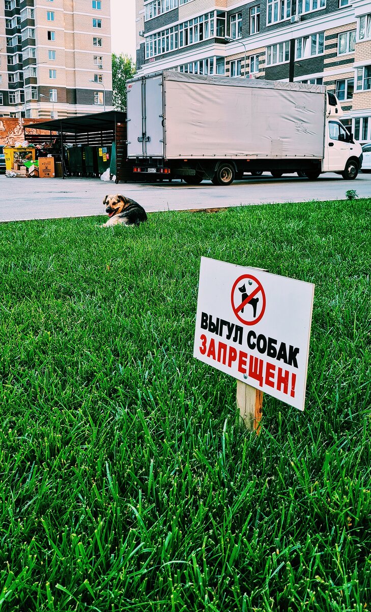 Злостный нарушитель.