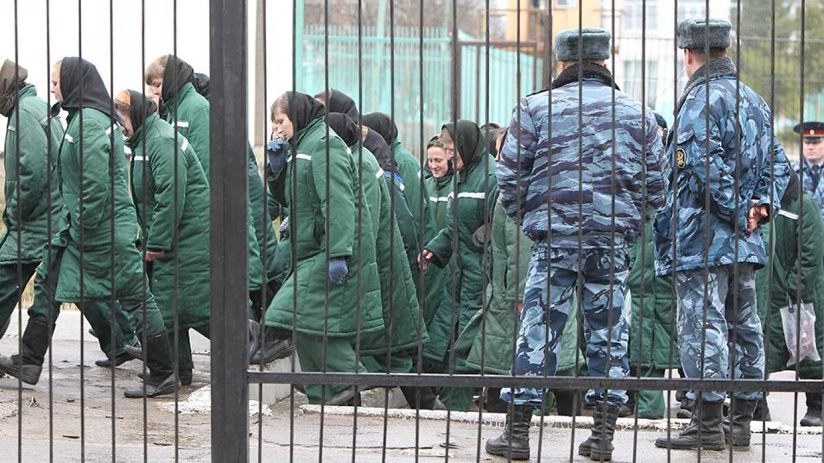 Яндекс картинки