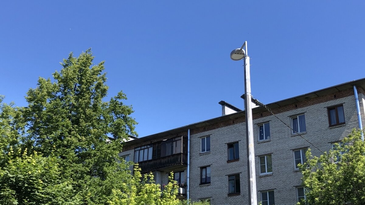 Фото: Невские Новости, Николай Стерлигов