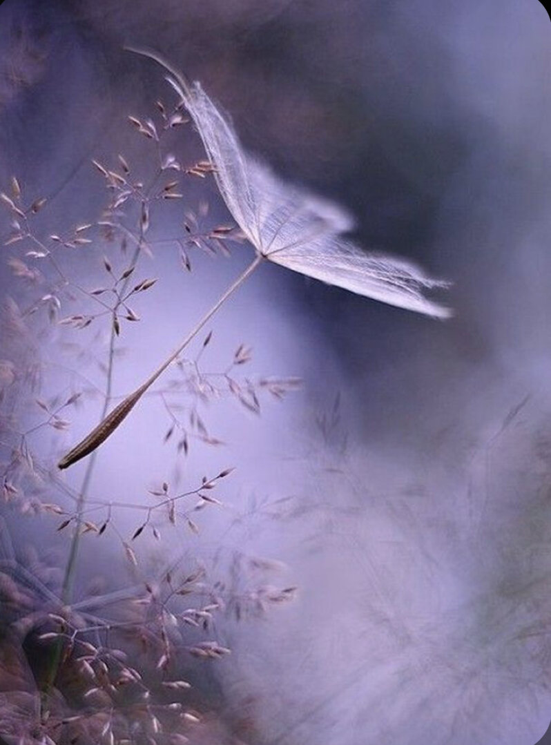 Баланс во всём.