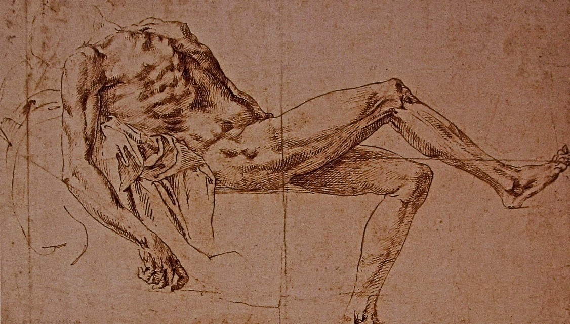 тело человека искусство. контрапост микеланджело. проходящая натура. штудии микеланджело. натура для рисования человек.