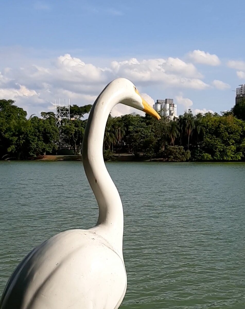 Сан-Паулу сейчас. Фото автора.