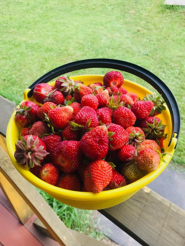 Виктория из сада родителей.