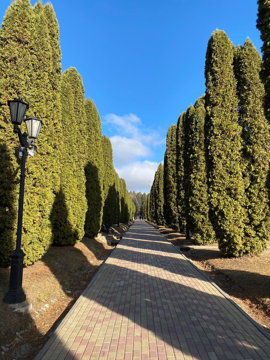 Аллея вдоль Долины Роз. Фото автора