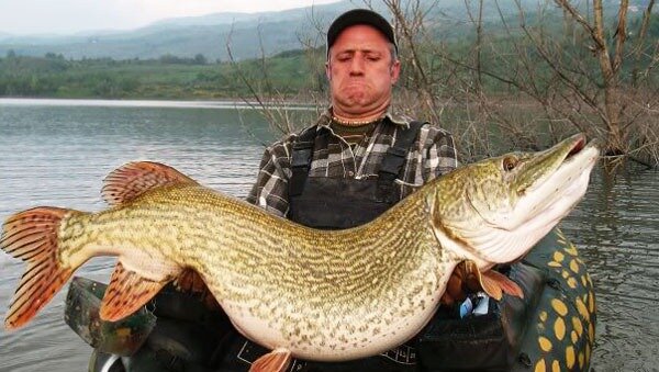 Фото: fishis.ru