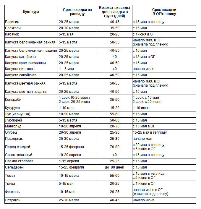 Примерные сроки посева основных овощных культур для средней полосы России.