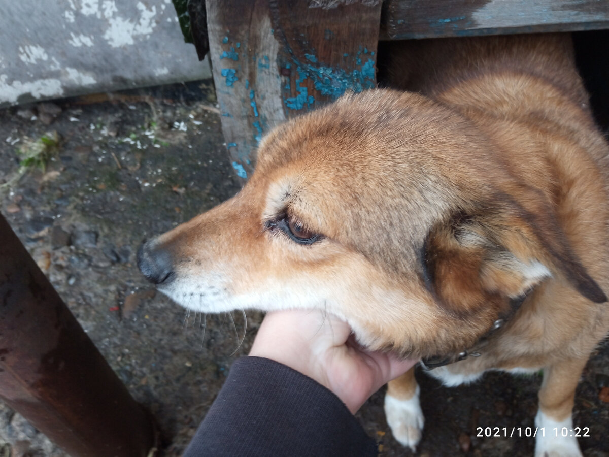 В прошлом году