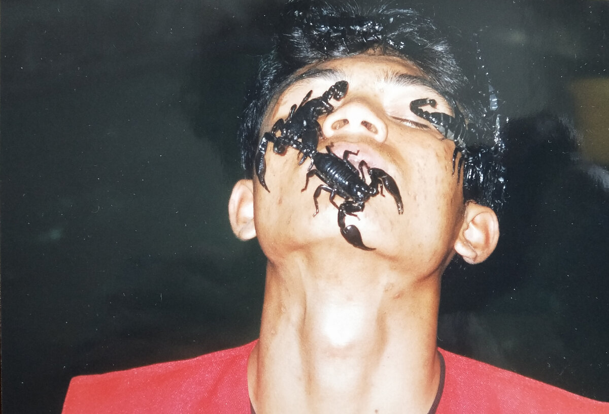 Тайланд. Шоу со скорпионами. Фото из личного архива