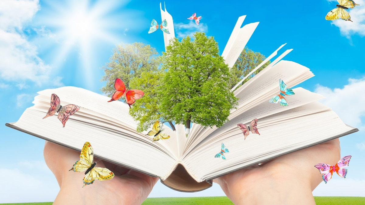 Хочу поделиться своими впечатлениями. 23 Апреля Всемирный день книги. Библиотека фон. Лето с книгой. Международный день детской книги.