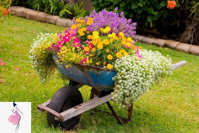 Фото с сайта https://worldofwomen.club/