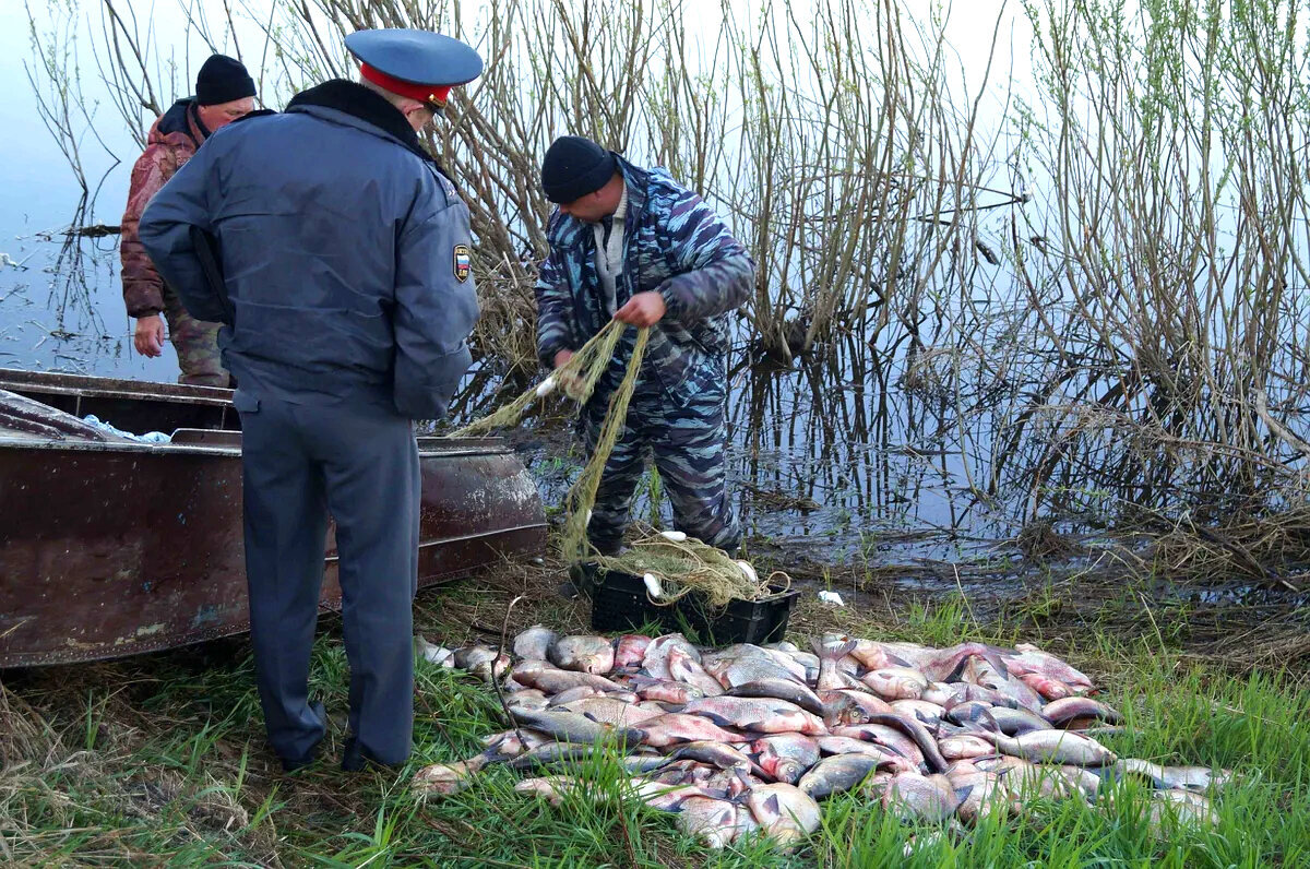 Браконьеры в Курганской области