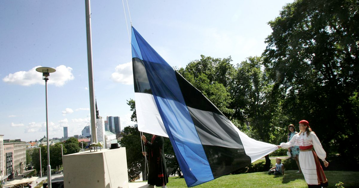 Эстония планирует. Эстонец флаг Таллинн. Флаги городов Эстонии. Флаг Эстонии 1939. Флаг Эстонии на флагштоке.