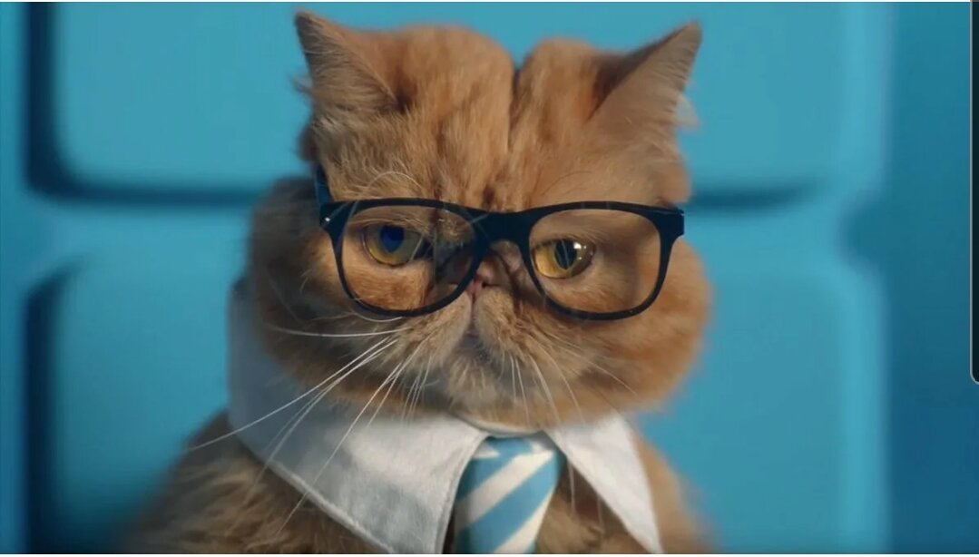 Картинка из открытых источников 