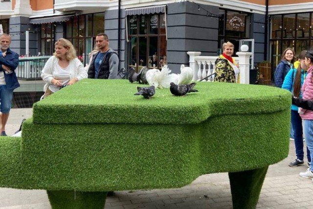   Фото: пресс-служба регионального УМВД