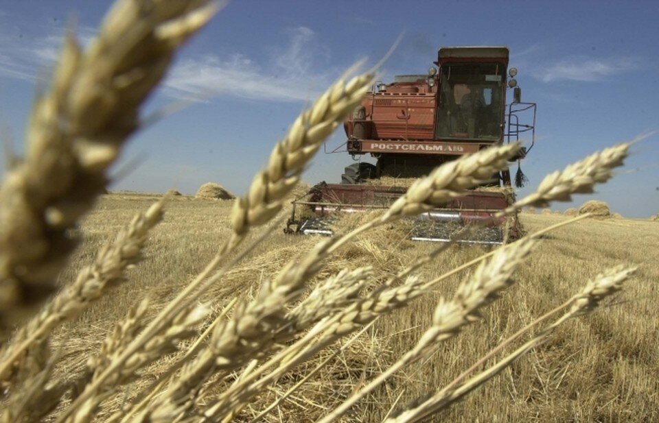     Мужчине стало плохо в комбайне. Владимир ВЕЛЕНГУРИН