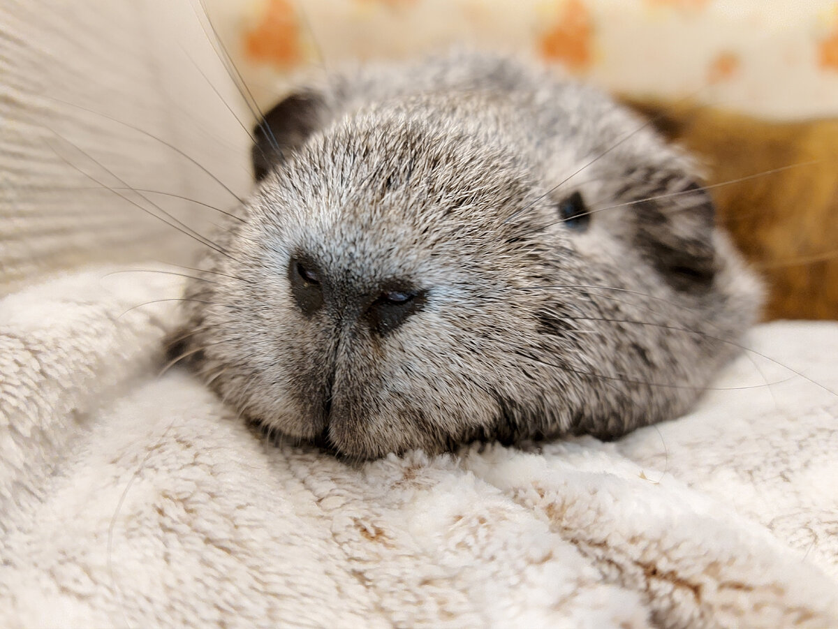   Фото: Legion-Media