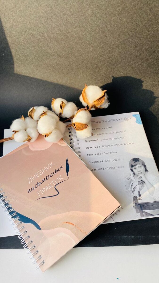 Дневник письменных практик