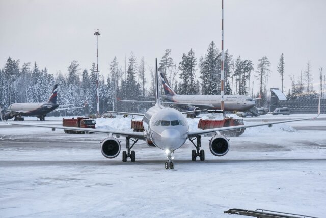    В аэропорту «Шереметьево» Дарья Антонова © ИА REGNUM