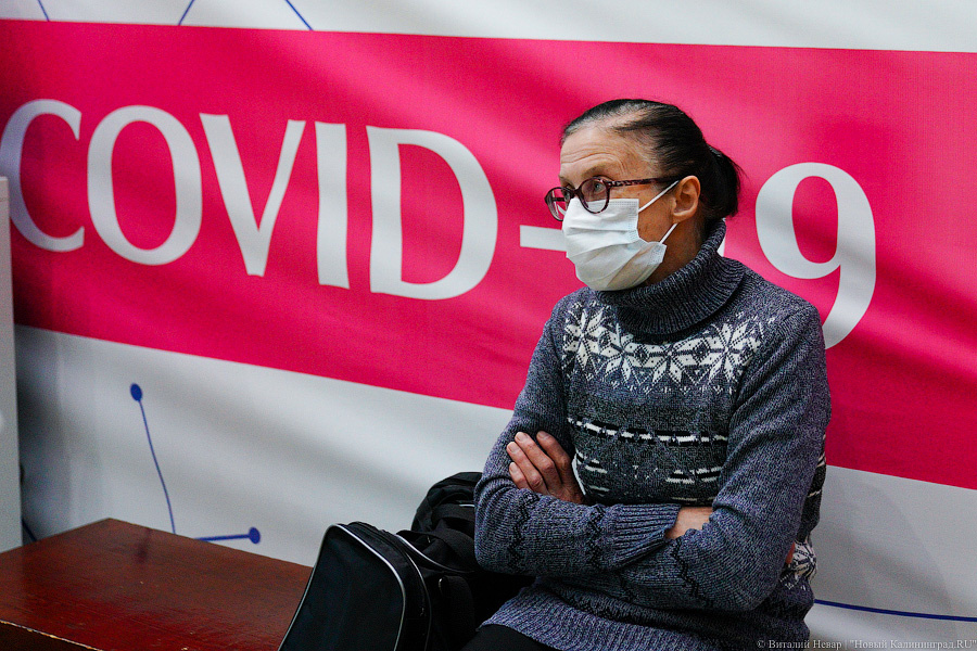 Фото: Виталий Невар / Новый Калининград