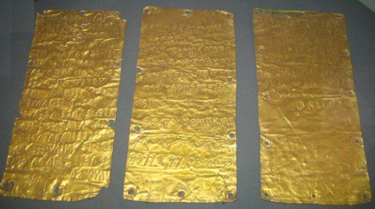 Фото: открытые источники.