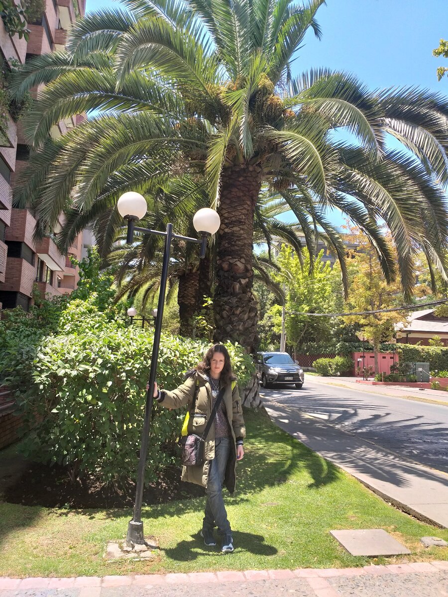 Меня зовут Ксения, я автор канала Принцесса мапуче