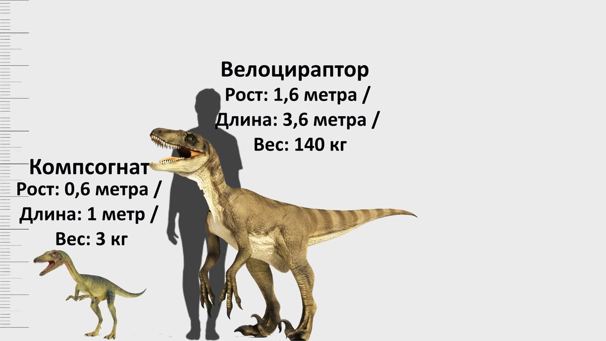 Сравнение всех динозавров из Мира и Парка Юрского периода