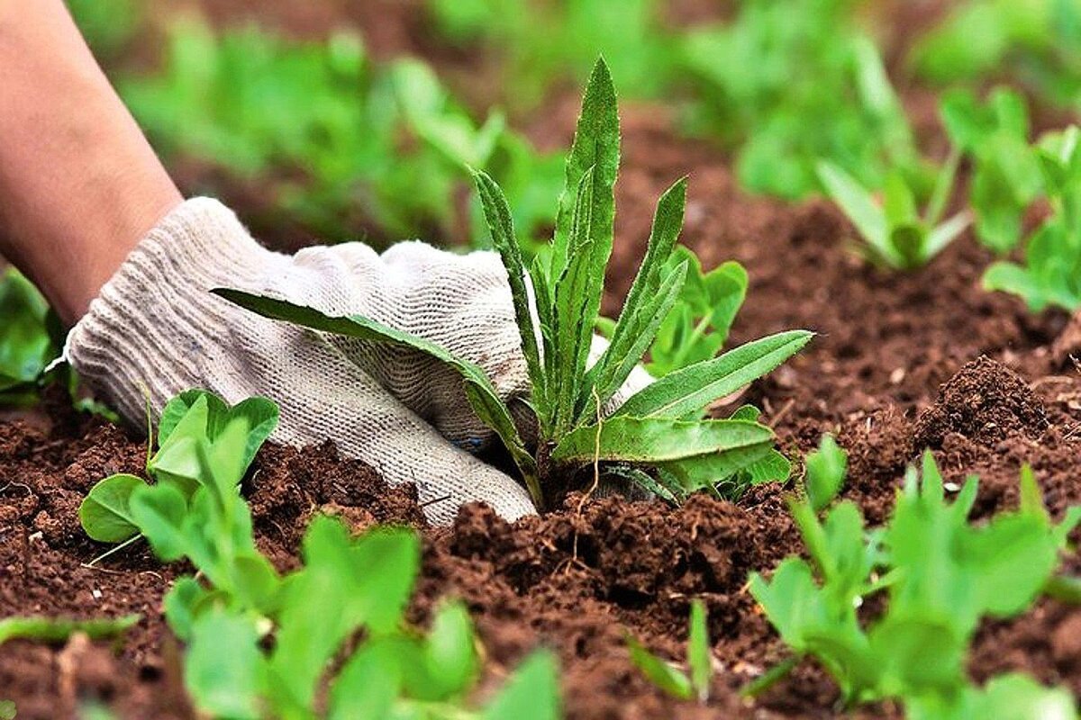 фото с proroslo.ru