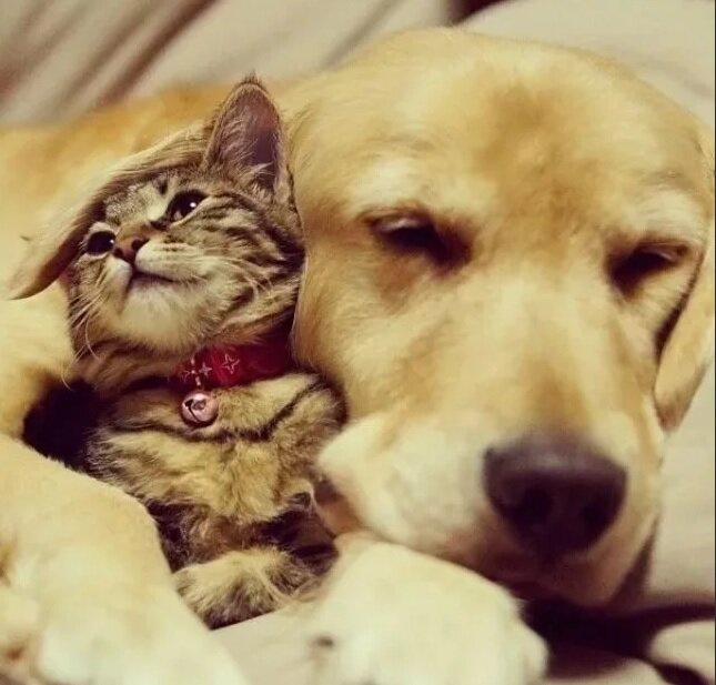 фото взято из интернета