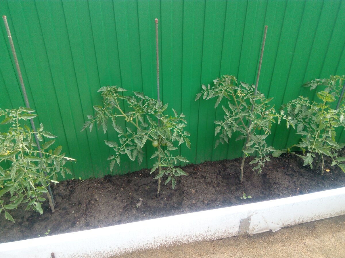 Растем по-немногу..