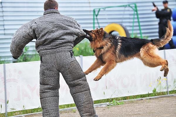 Фото: Сергей Пивоваров / РИА Новости 