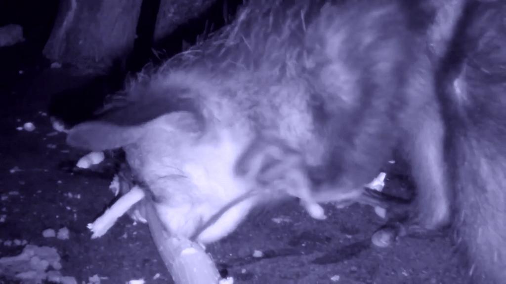 Источник: youtube.com