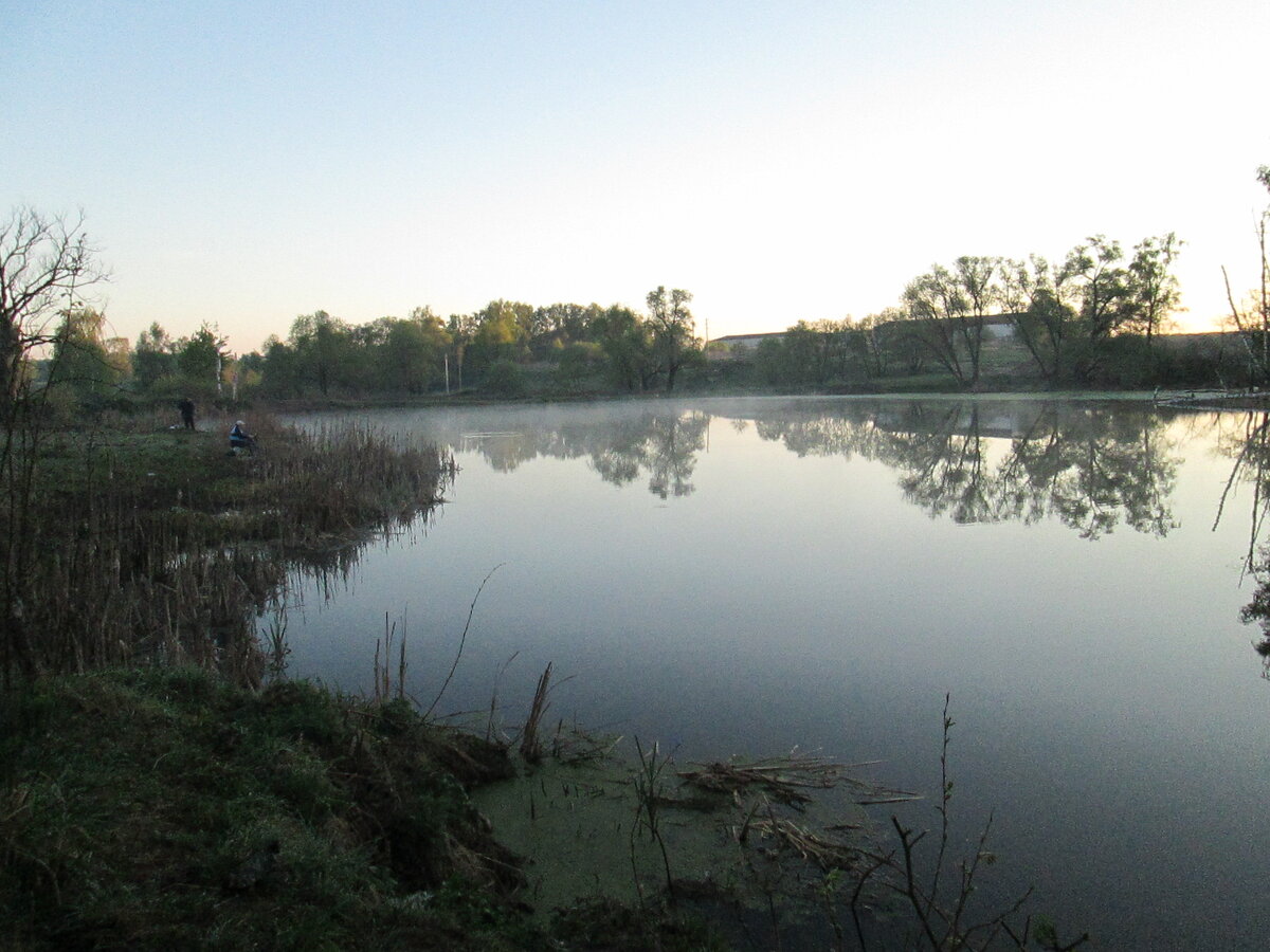 Подмосковные пейзажи. Фото автора