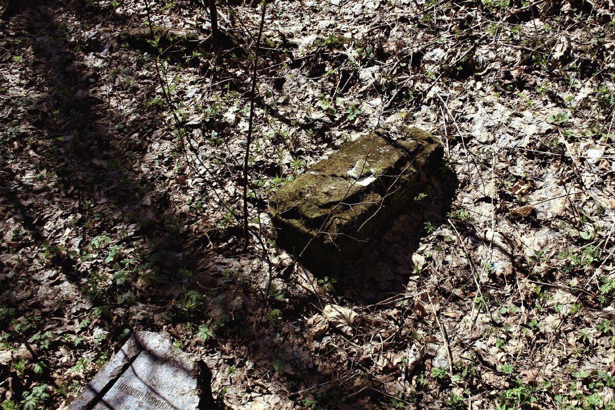 погост спас железный посох. погост спас железный посох. спас железный посох. спас железный посох. спас железный посох.