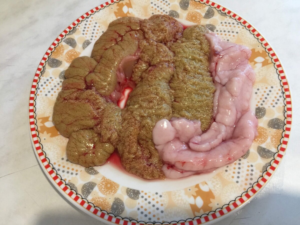 Икра и молоко карпов