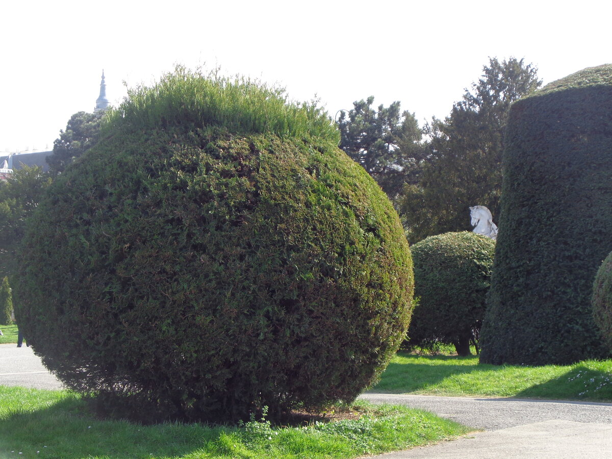 Так и кажется, что с обратной стороны есть хитрые глазки.