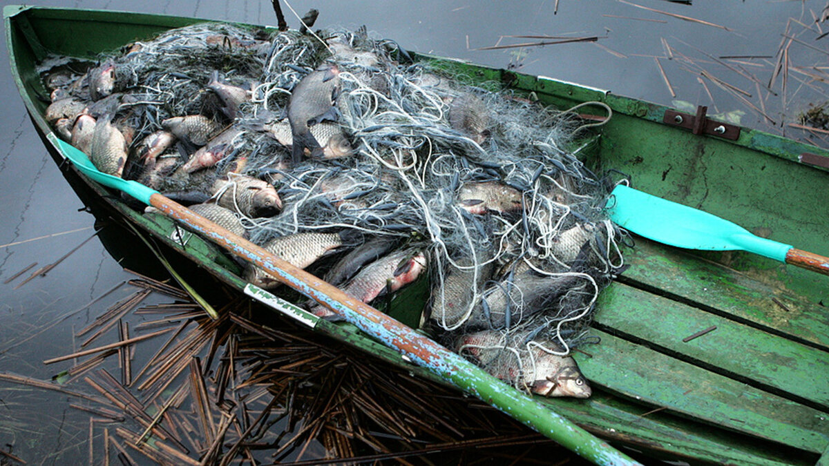 фото взято из сети интернет