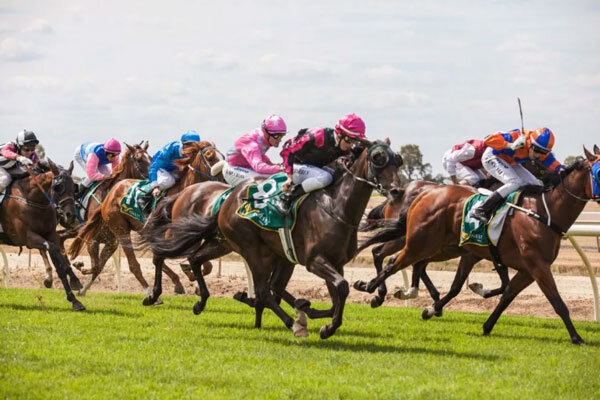 Источник фото сервис Яндекс.Картинки