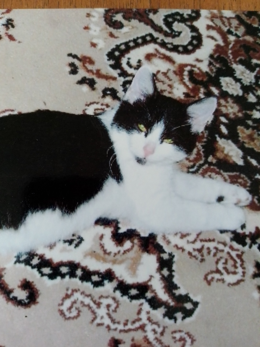 Наша Бусинка